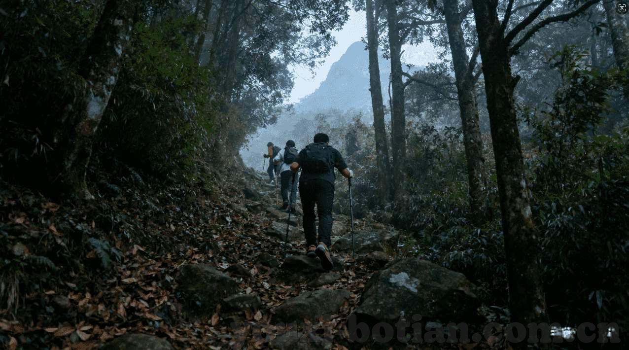 pc28官网在线-PC28官网在线，探索彩票投注的新视界